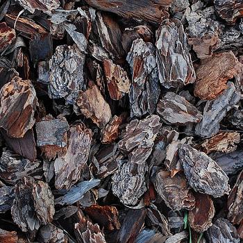 A casca de pinus é um material orgânico bastante utilizado em jardins. É durável e tem um aspecto natural. Foto de Eric Martin