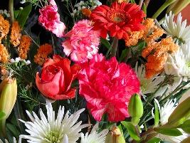 Buquês de flores