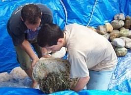 Lago de lona Lago de lona