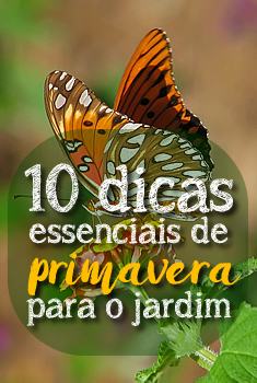 dicas_primavera_jardim