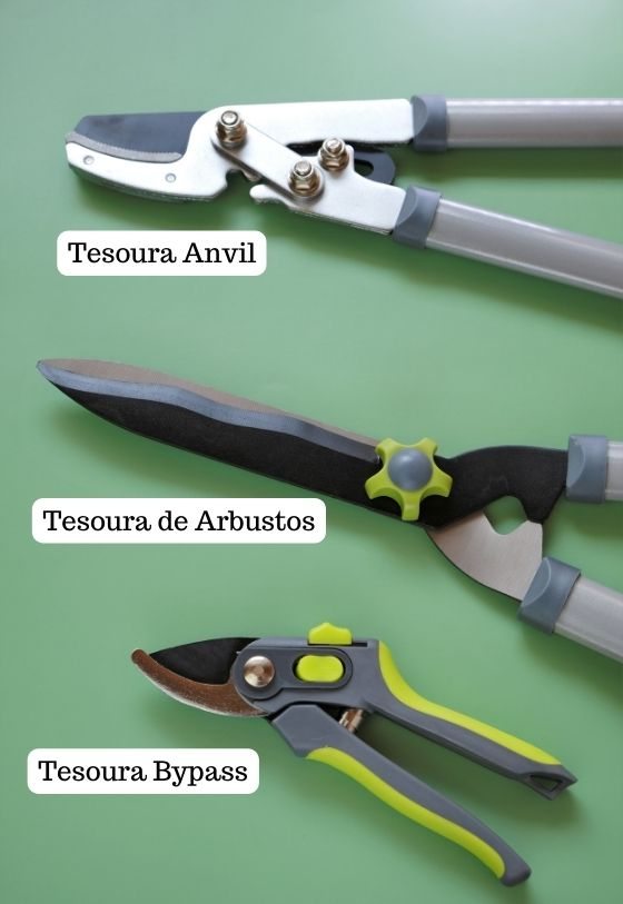 Alguns tipos de tesouras de poda. Anvil, arbustos e bypass