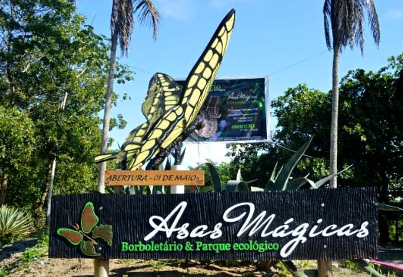 Borboletário Asas Mágicas