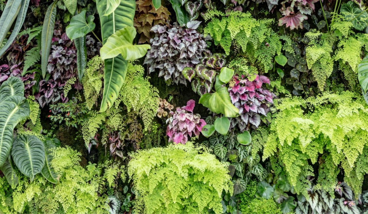 Jardim vertical com folhagens tropicais.