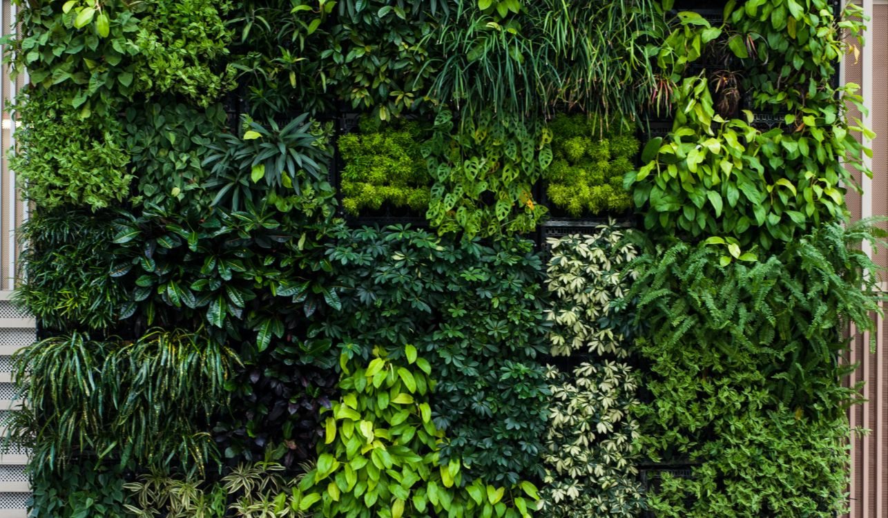 jardim vertical com plantas tropicais